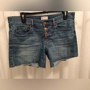 Ladies jean shorts.loft brand.